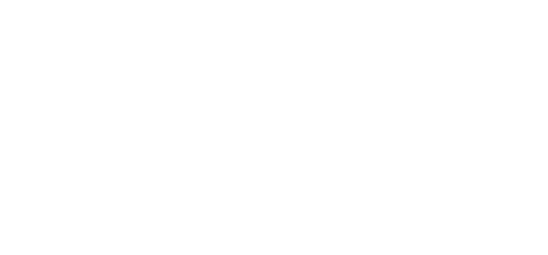 Festina Finance wins Pensions Technology Provider of the Year Award