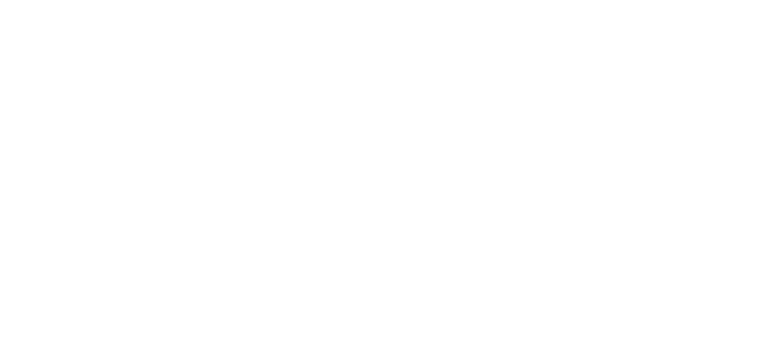 Festina Finance wins Pensions Technology Provider of the Year Award